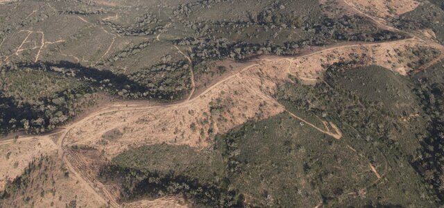 dji_fly_20240126_155302_474_1706284488029_photo