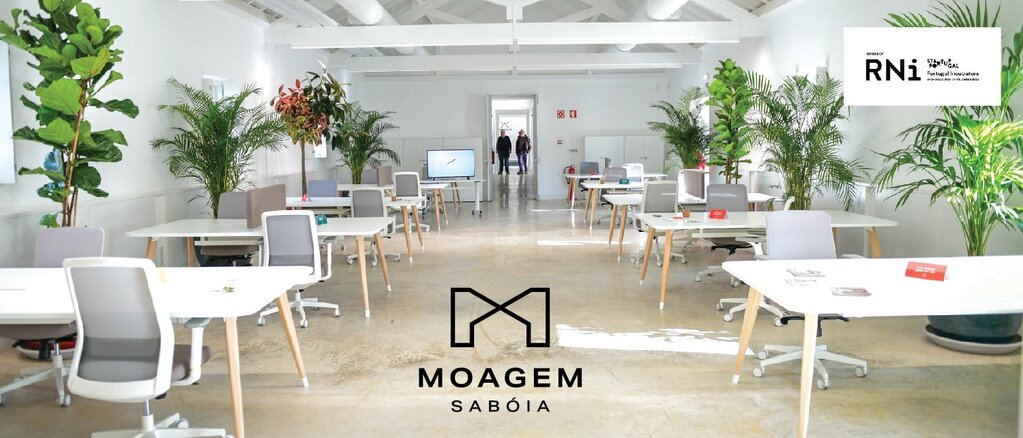 Fotografia Moagem de Sab&oacute;ia