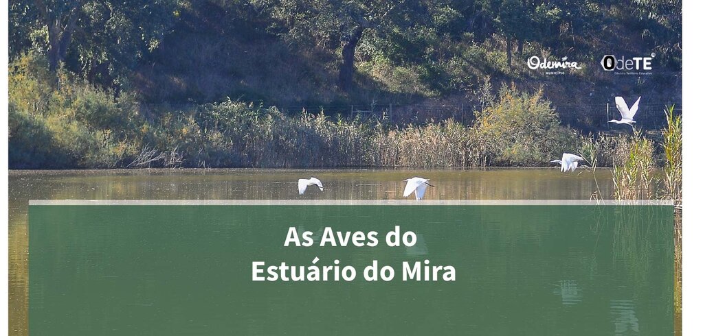 As Aves do Estu&aacute;rio do Mira_formul&aacute;rio