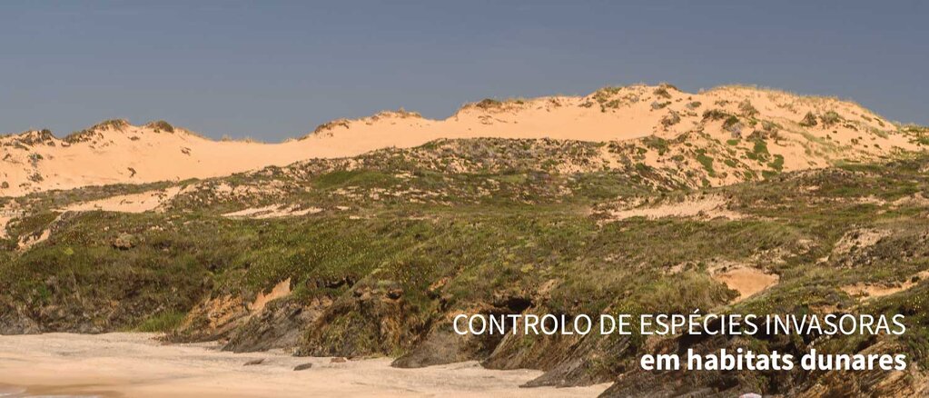 jun 2025_WORKSHOP TEÓRICO-PRÁTICO -Erva-das-pampas form