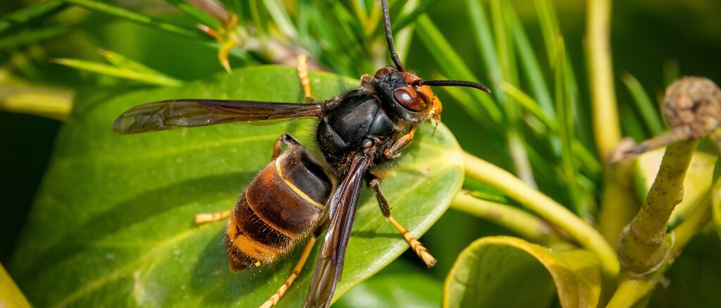 AdobeStock_499437871