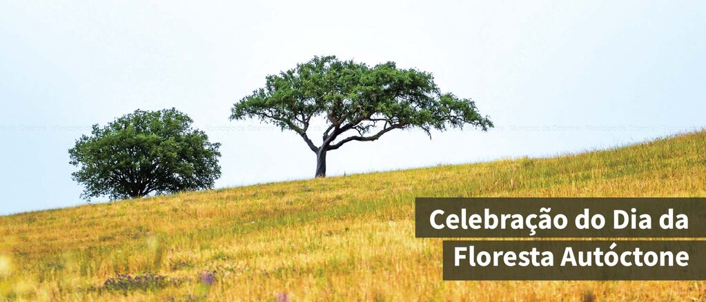 Dia da floresta aut&oacute;ctone